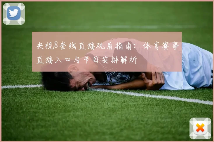 央视8套线直播观看指南：体育赛事直播入口与节目安排解析