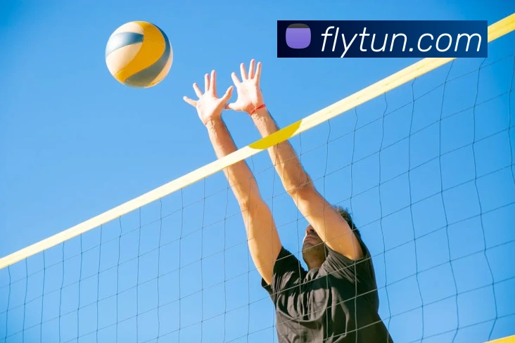 投注app官网品牌故事