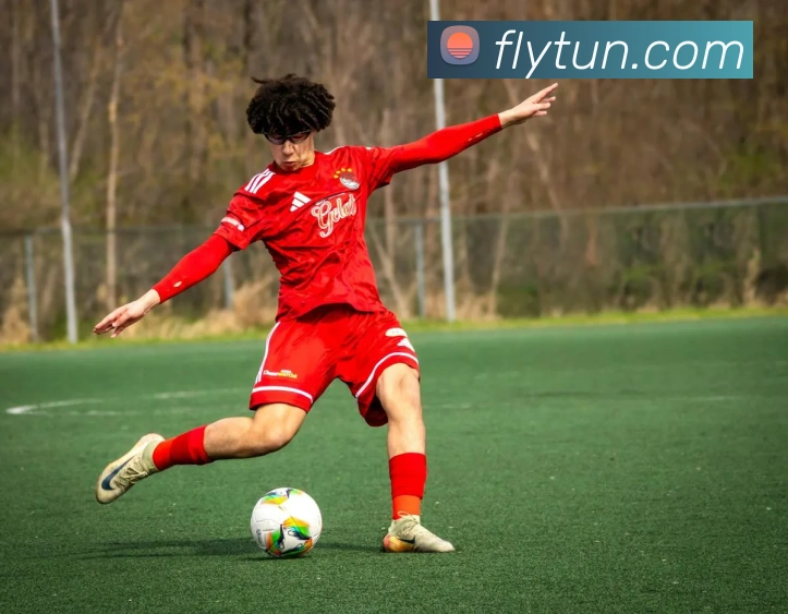 投注app官网服务体系